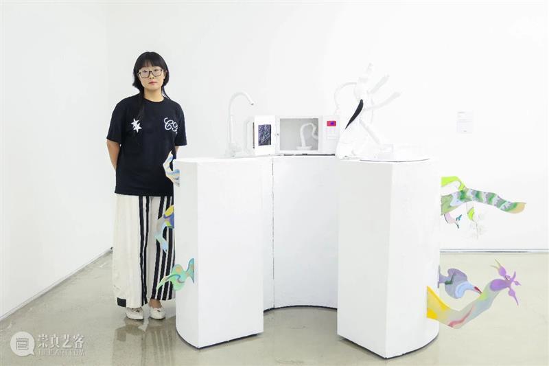 偏锋 艺术家｜「我，AI，人类学」参展艺术家 苏雨佳 崇真艺客