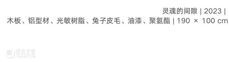 偏锋 艺术家｜「我，AI，人类学」参展艺术家 苏雨佳 崇真艺客