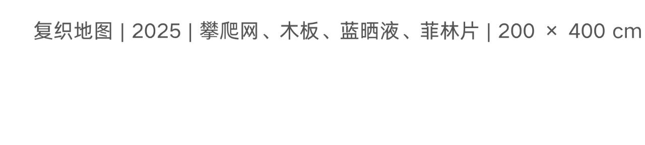 偏锋 艺术家｜「我，AI，人类学」参展艺术家 苏雨佳 崇真艺客