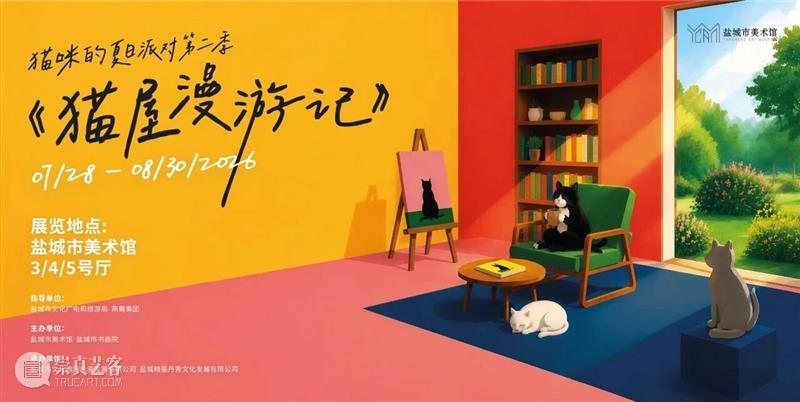 ??盐美“猫猫特别赛”来啦，接招！ 崇真艺客