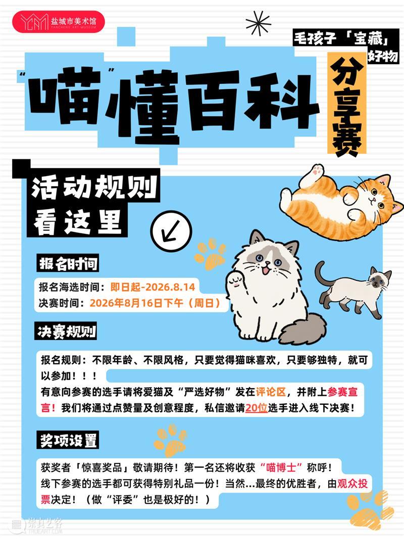??盐美“猫猫特别赛”来啦，接招！ 崇真艺客