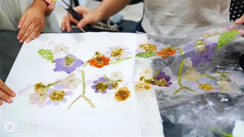 艺时一节 活动回顾 | 立秋限定！藏在草木里的秋日密码 崇真艺客