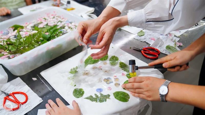 艺时一节 活动回顾 | 立秋限定！藏在草木里的秋日密码 崇真艺客