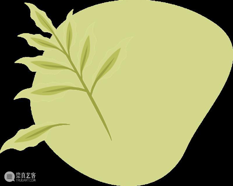 艺时一节 活动回顾 | 立秋限定！藏在草木里的秋日密码 崇真艺客