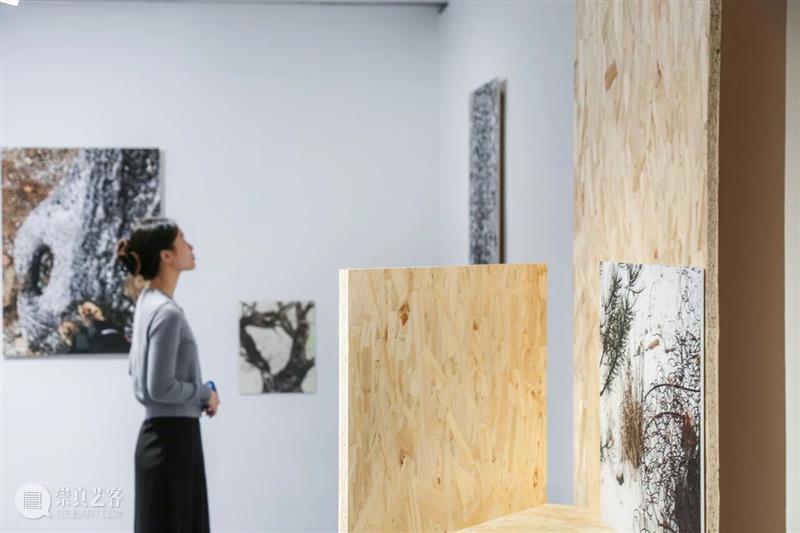 新策展机制与实践：第五届“7号空间/21空间——青年艺术家学术提名展”近日举行专家讨论会 崇真艺客
