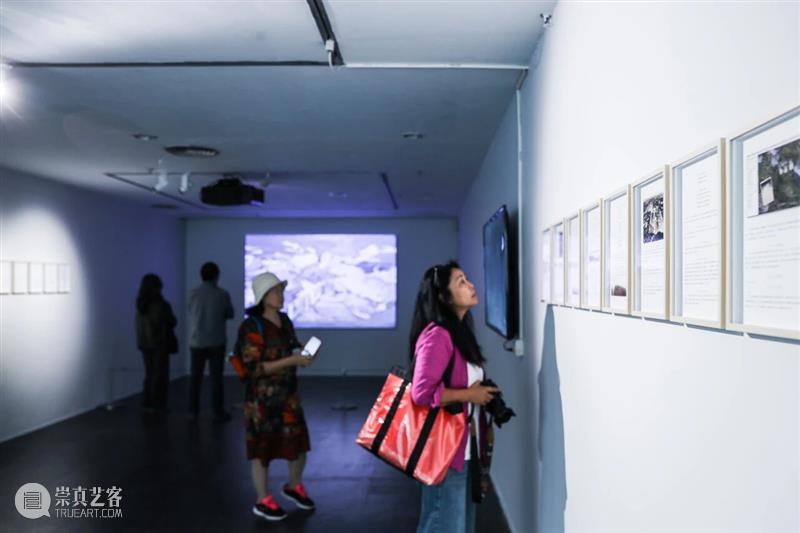 新策展机制与实践：第五届“7号空间/21空间——青年艺术家学术提名展”近日举行专家讨论会 崇真艺客