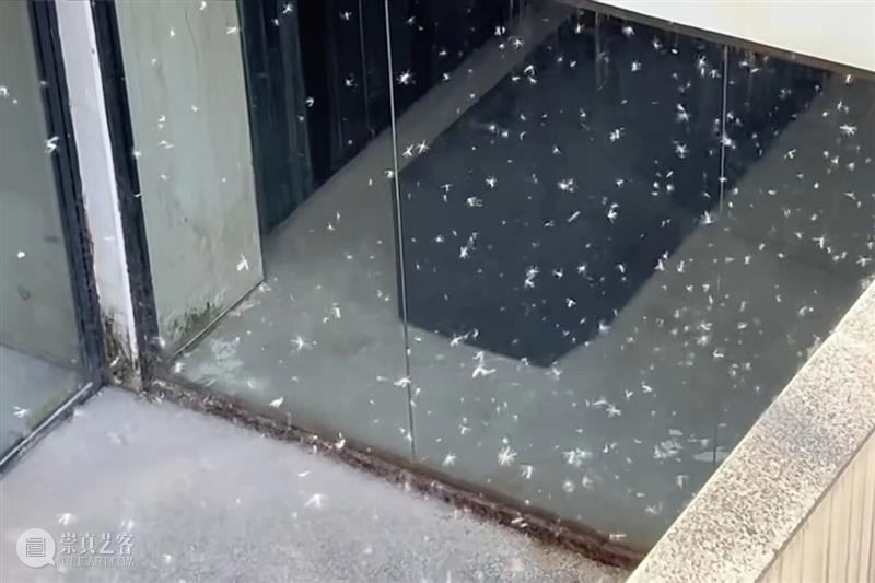 王光乐：回看｜今日·蔡锦空间 崇真艺客