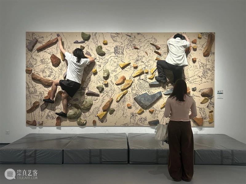 艺术家对话 | 何辰昊：自身的支配者 崇真艺客