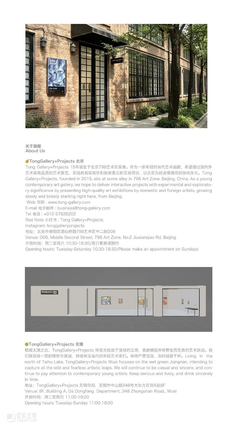 艺术家对话 | 何辰昊：自身的支配者 崇真艺客