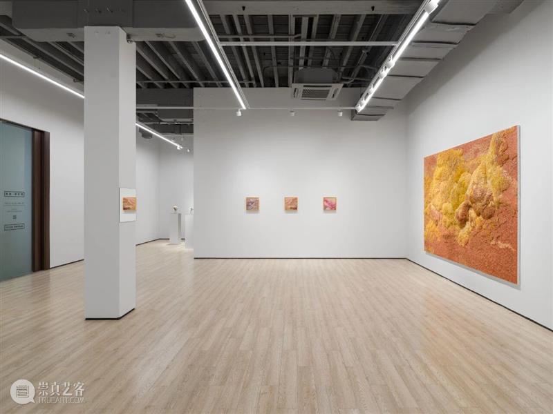 展览现场|Tia-Thuy Nguyen「共鸣之域」@ 阿尔敏·莱希 - 上海 崇真艺客