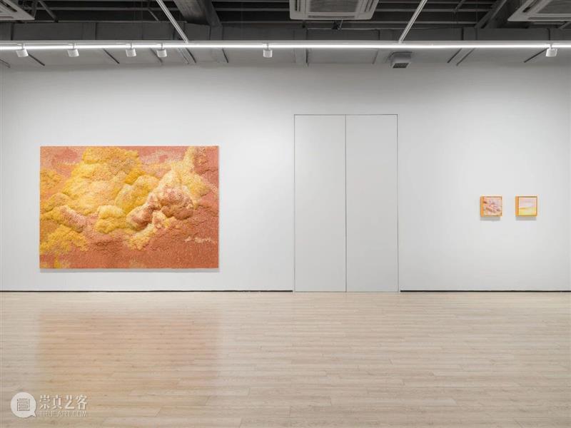 展览现场|Tia-Thuy Nguyen「共鸣之域」@ 阿尔敏·莱希 - 上海 崇真艺客