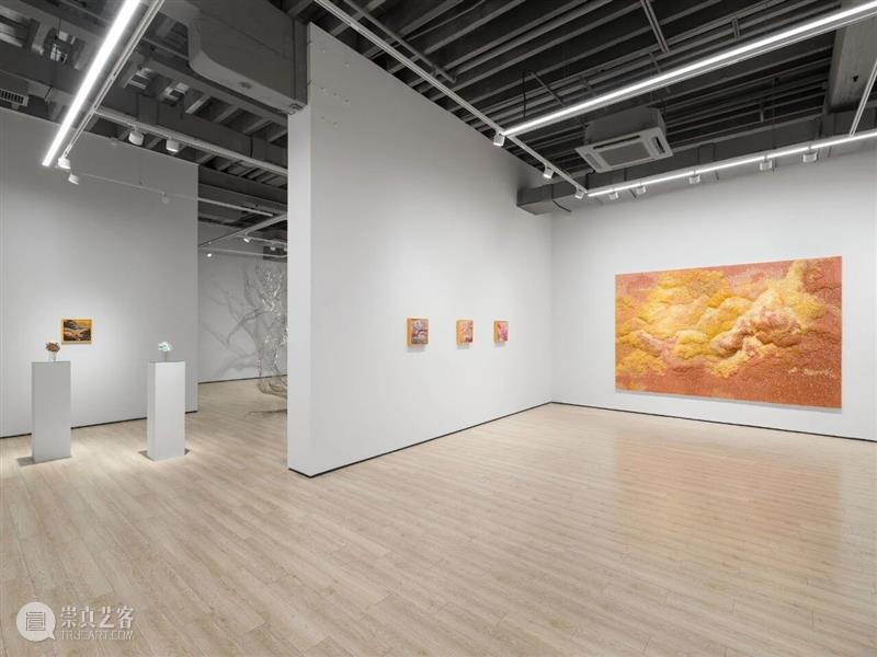 展览现场|Tia-Thuy Nguyen「共鸣之域」@ 阿尔敏·莱希 - 上海 崇真艺客