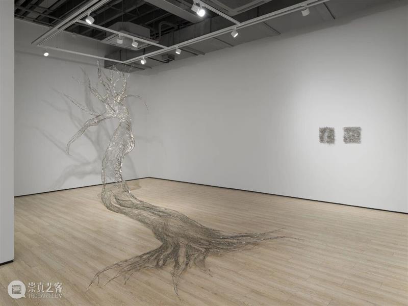 展览现场|Tia-Thuy Nguyen「共鸣之域」@ 阿尔敏·莱希 - 上海 崇真艺客