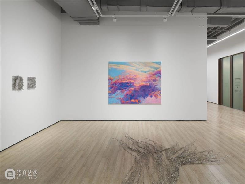 展览现场|Tia-Thuy Nguyen「共鸣之域」@ 阿尔敏·莱希 - 上海 崇真艺客