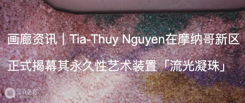展览现场|Tia-Thuy Nguyen「共鸣之域」@ 阿尔敏·莱希 - 上海 崇真艺客
