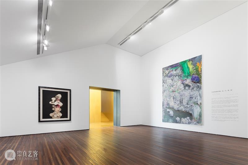 周春芽大型个展“山石、园林、桃花、绿狗”于松美术馆隆重开幕! 崇真艺客
