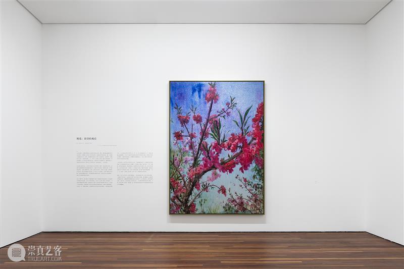 周春芽大型个展“山石、园林、桃花、绿狗”于松美术馆隆重开幕! 崇真艺客