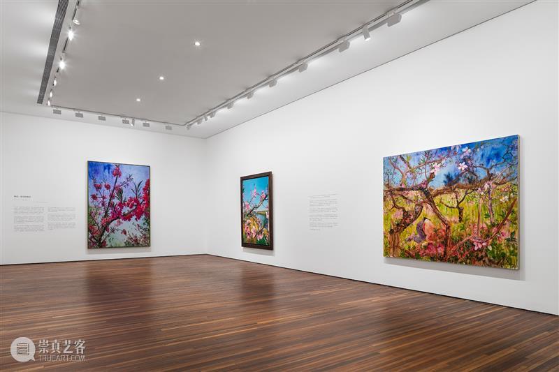 周春芽大型个展“山石、园林、桃花、绿狗”于松美术馆隆重开幕! 崇真艺客