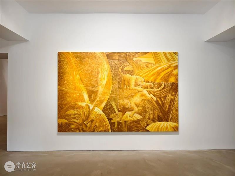 又生空间|半神隙境——郑子豪个展 顺利开幕 崇真艺客