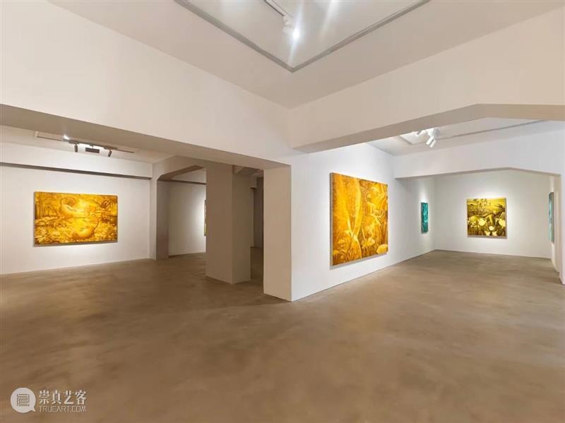 又生空间|半神隙境——郑子豪个展 顺利开幕 崇真艺客