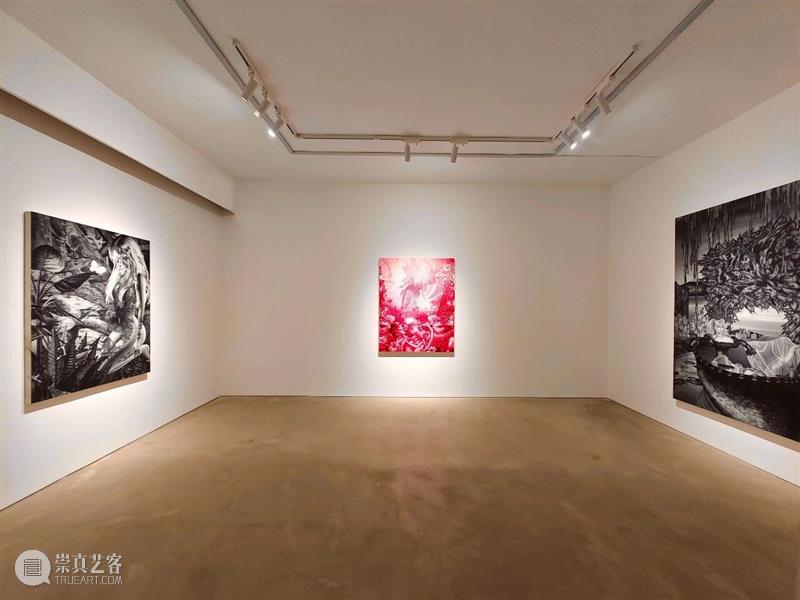 又生空间|半神隙境——郑子豪个展 顺利开幕 崇真艺客