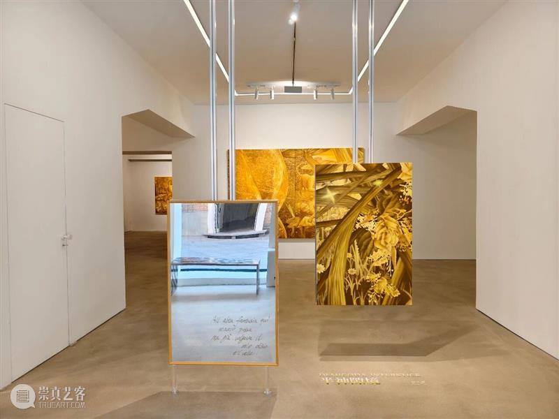 又生空间|半神隙境——郑子豪个展 顺利开幕 崇真艺客