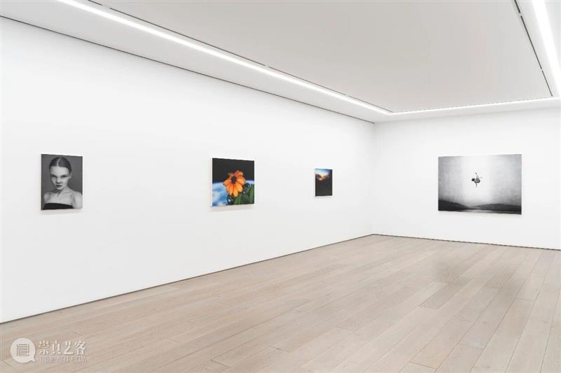 贝浩登纽约｜秋季展览正在进行 崇真艺客