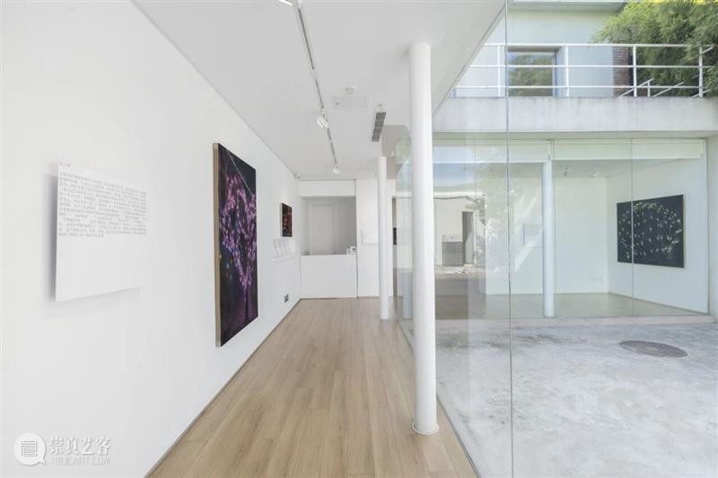 MG Space | 《北三街七〇六号  》展览现场 崇真艺客