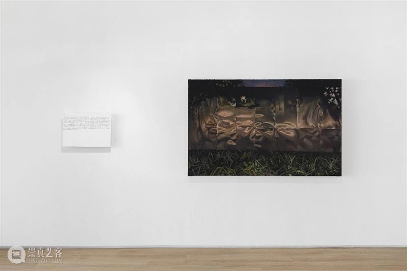 MG Space | 《北三街七〇六号  》展览现场 崇真艺客
