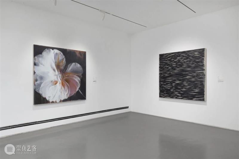 展讯｜北京公社艺术家作品近期展览现场 崇真艺客