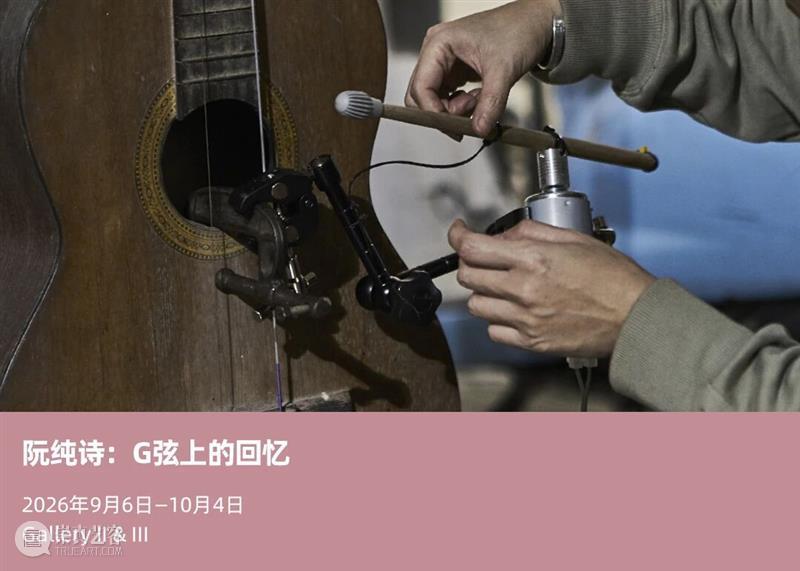 【SPURS 艺术家】王加加个展“黄金一代”即将在海上世界文化艺术中心开幕 崇真艺客