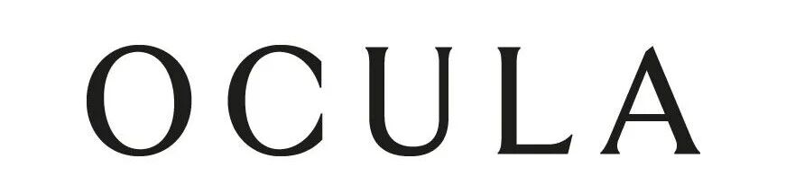 对话｜Ocula｜马秋莎谈神的生成：“我从没想过作品要永垂不朽” 崇真艺客