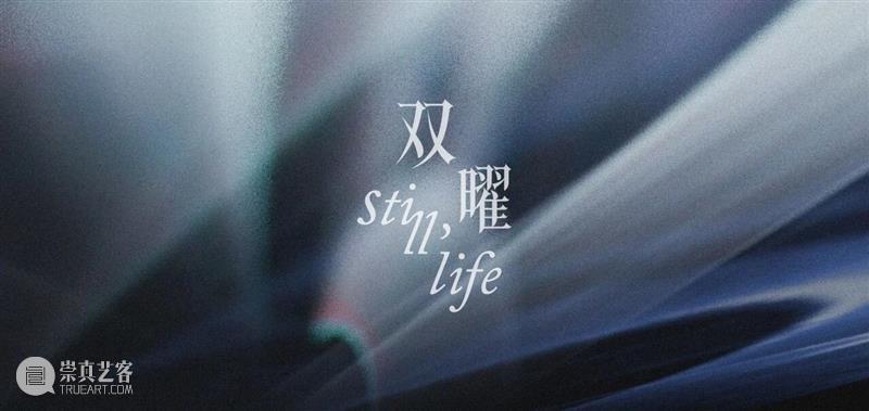 切入 | 刘佳玉：Y世代的自然新观 崇真艺客