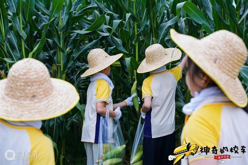 神奇的校车国庆四日营，探索一个不一样的假期！ 崇真艺客