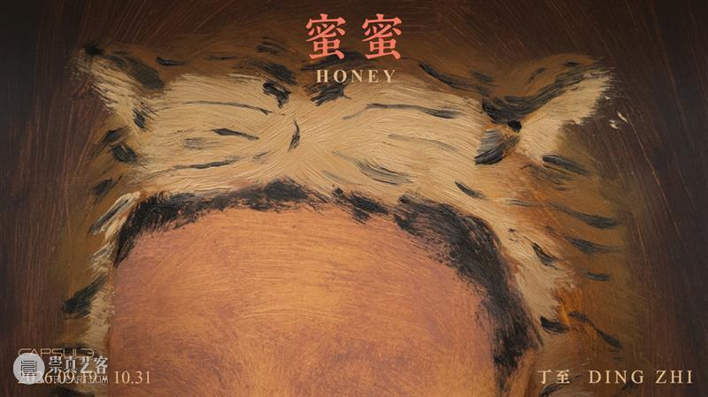 胶囊|丁至:蜜蜜 崇真艺客