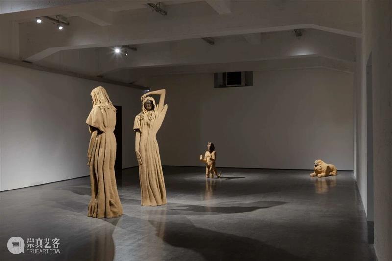 展览现场|阿里·谢里(Ali Cherri)「灵魂见证者」@ 比利时布鲁塞尔 WIELS 当代艺术中心 崇真艺客