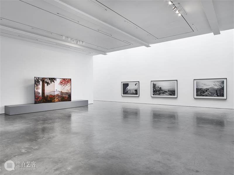 正在展出 | 里森纽约 | 杉本博司（Hiroshi Sugimoto）个展“Unnatural Habitat” 崇真艺客
