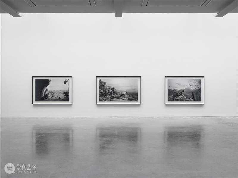 正在展出 | 里森纽约 | 杉本博司（Hiroshi Sugimoto）个展“Unnatural Habitat” 崇真艺客