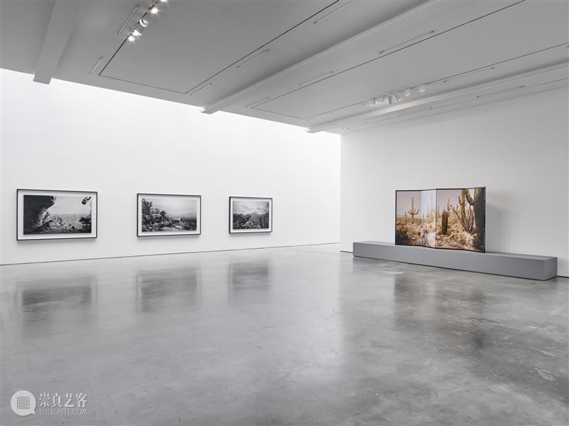 正在展出 | 里森纽约 | 杉本博司（Hiroshi Sugimoto）个展“Unnatural Habitat” 崇真艺客