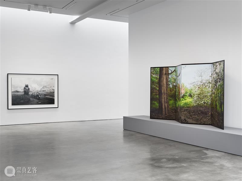 正在展出 | 里森纽约 | 杉本博司（Hiroshi Sugimoto）个展“Unnatural Habitat” 崇真艺客