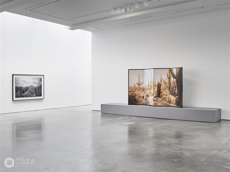 正在展出 | 里森纽约 | 杉本博司（Hiroshi Sugimoto）个展“Unnatural Habitat” 崇真艺客