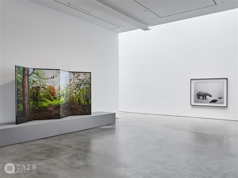 正在展出 | 里森纽约 | 杉本博司（Hiroshi Sugimoto）个展“Unnatural Habitat” 崇真艺客