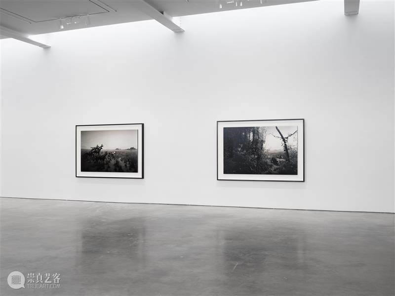 正在展出 | 里森纽约 | 杉本博司（Hiroshi Sugimoto）个展“Unnatural Habitat” 崇真艺客