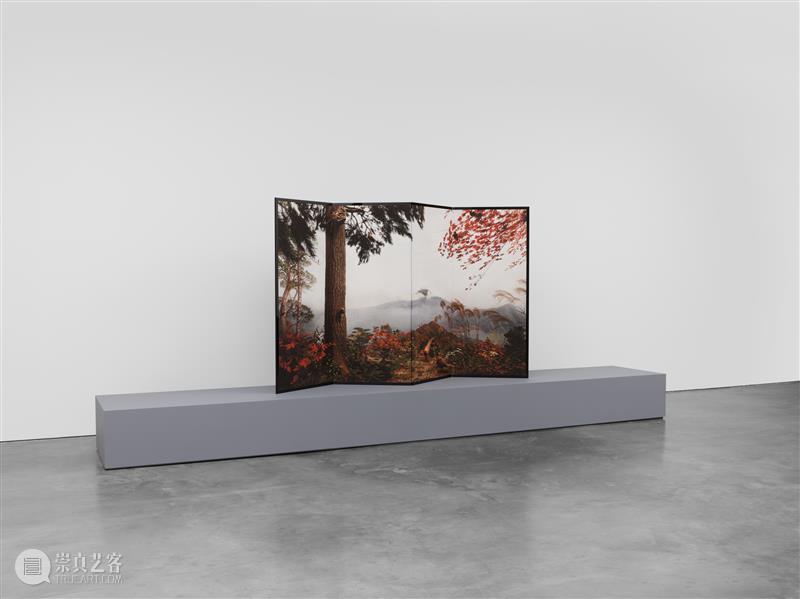正在展出 | 里森纽约 | 杉本博司（Hiroshi Sugimoto）个展“Unnatural Habitat” 崇真艺客