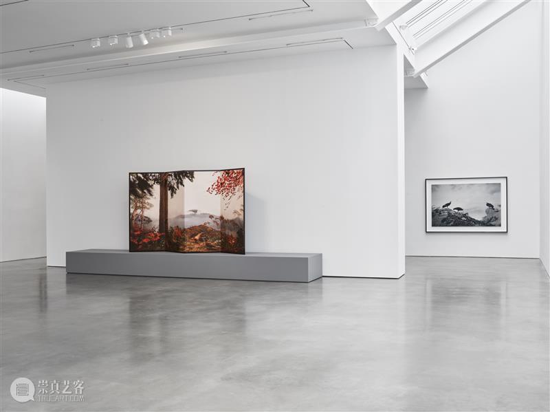 正在展出 | 里森纽约 | 杉本博司（Hiroshi Sugimoto）个展“Unnatural Habitat” 崇真艺客