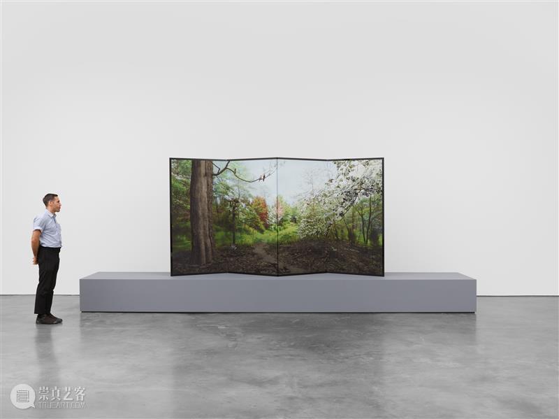 正在展出 | 里森纽约 | 杉本博司（Hiroshi Sugimoto）个展“Unnatural Habitat” 崇真艺客