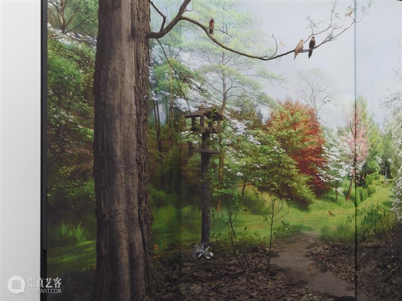 正在展出 | 里森纽约 | 杉本博司（Hiroshi Sugimoto）个展“Unnatural Habitat” 崇真艺客