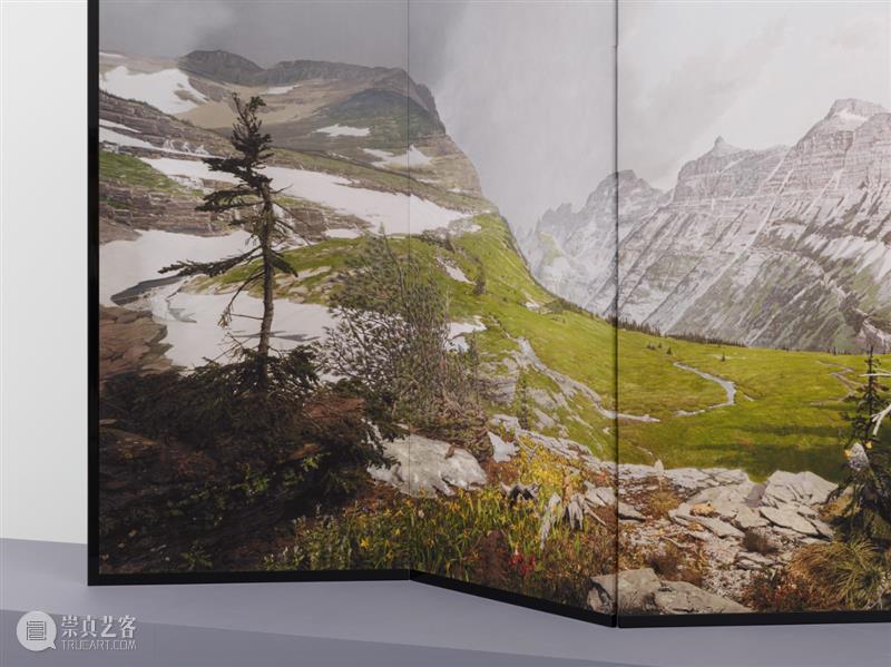 正在展出 | 里森纽约 | 杉本博司（Hiroshi Sugimoto）个展“Unnatural Habitat” 崇真艺客