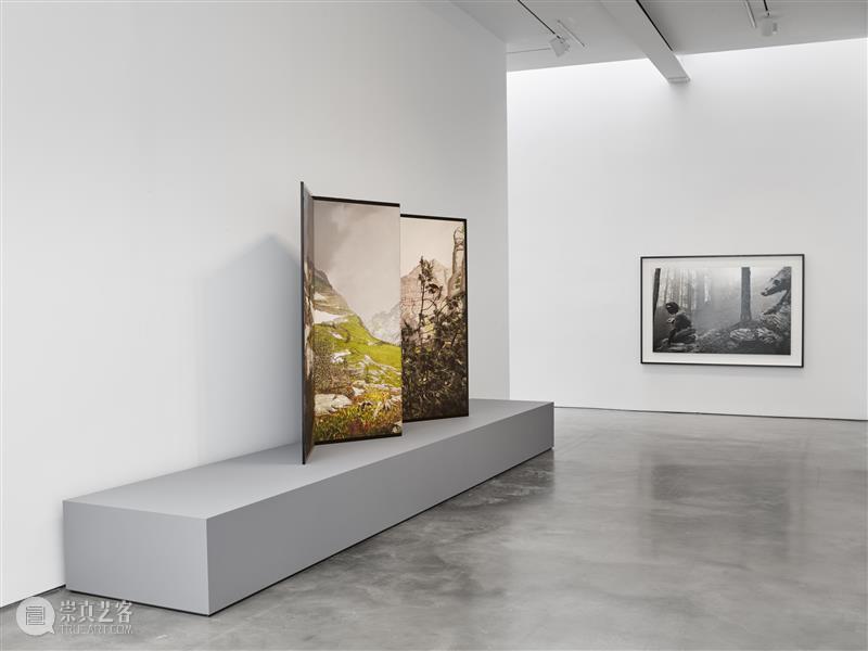 正在展出 | 里森纽约 | 杉本博司（Hiroshi Sugimoto）个展“Unnatural Habitat” 崇真艺客