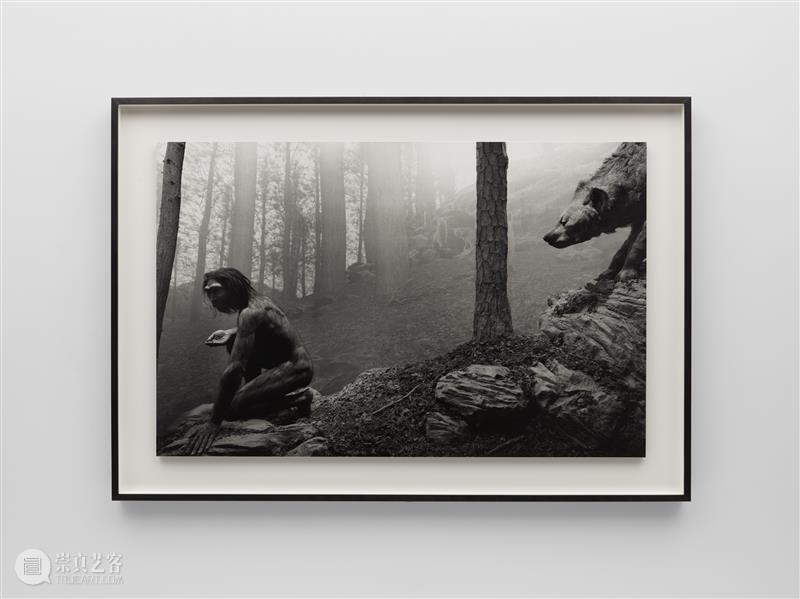 正在展出 | 里森纽约 | 杉本博司（Hiroshi Sugimoto）个展“Unnatural Habitat” 崇真艺客